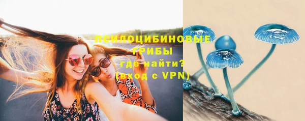 прущая мука Новозыбков
