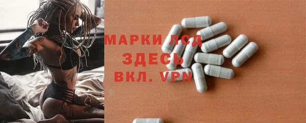 стаф Новокубанск