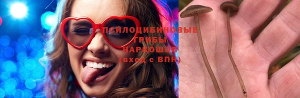 ALPHA PVP Яранск