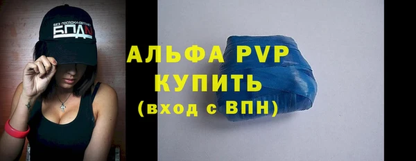 шишки Магас