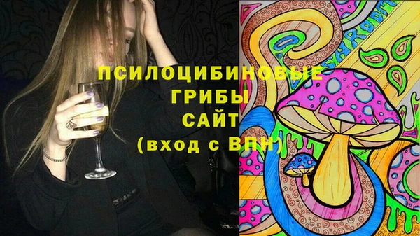 стаф Елабуга