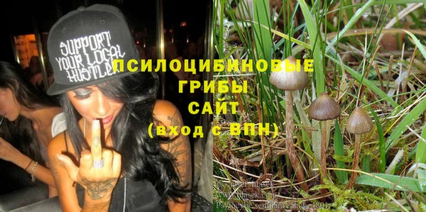 прущая мука Новозыбков