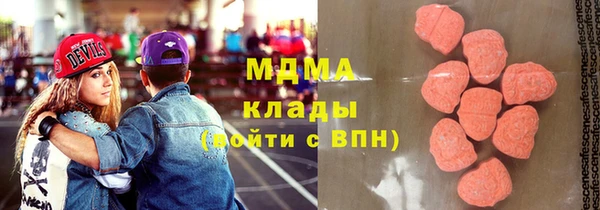 гидра Нестеровская