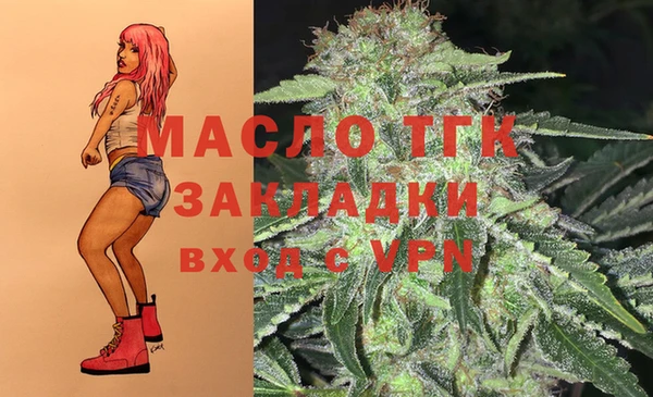 эйфоретик Новодвинск