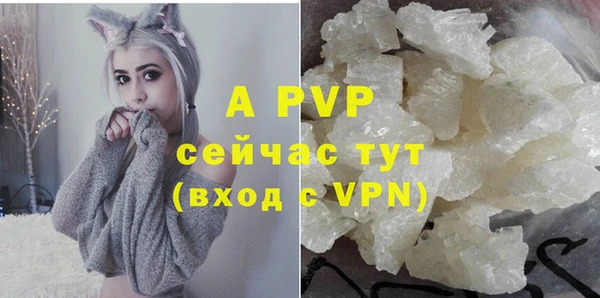 стаф Новокубанск