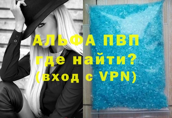 стаф Новокубанск