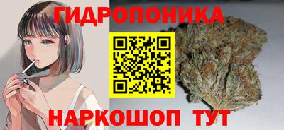 альфа пвп Волгодонск