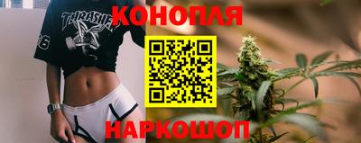 альфа пвп Волгодонск