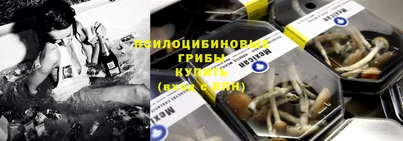 ссылка на мегу   Кстово  Псилоцибиновые грибы Cubensis 