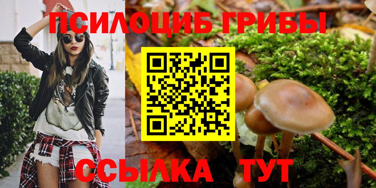 Псилоцибиновые грибы Magic Shrooms  Вход с VPN  Кстово 