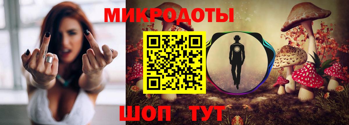 Псилоцибиновые грибы мицелий Кстово